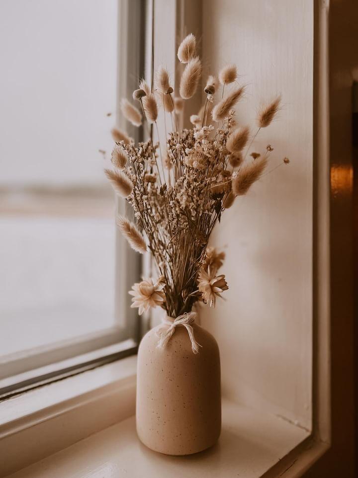 Flowers & Dried Concept