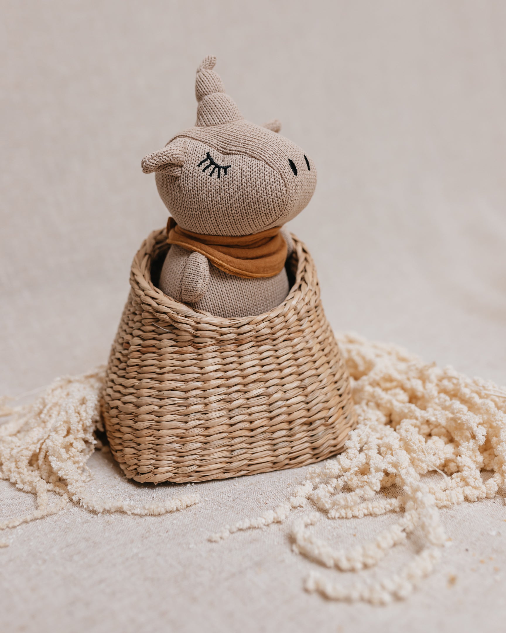 Bébé e Recém Nascido