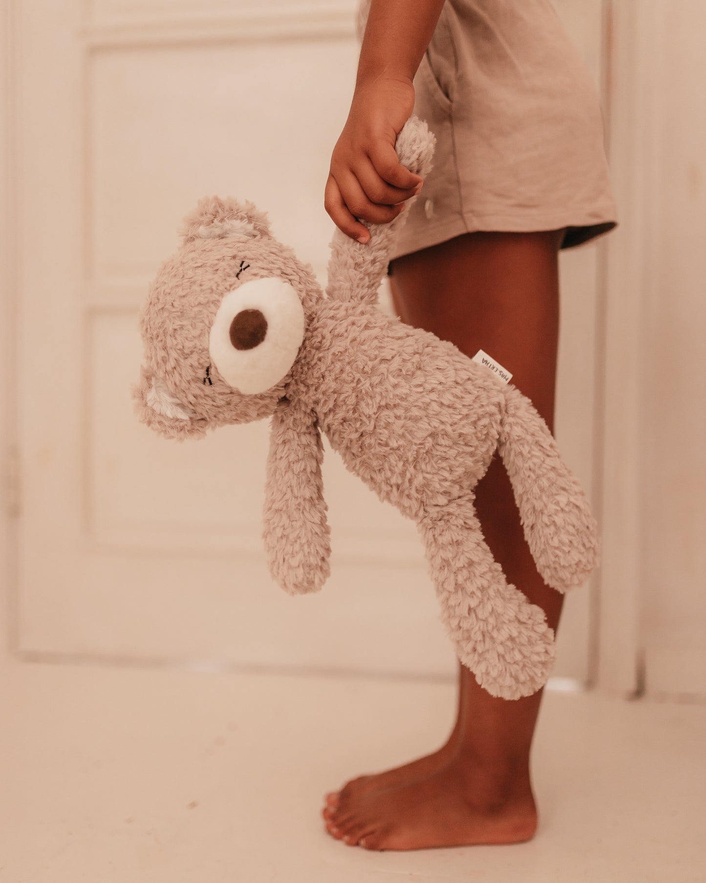 Stuffed animals - Mr. Pyxie - Teddy