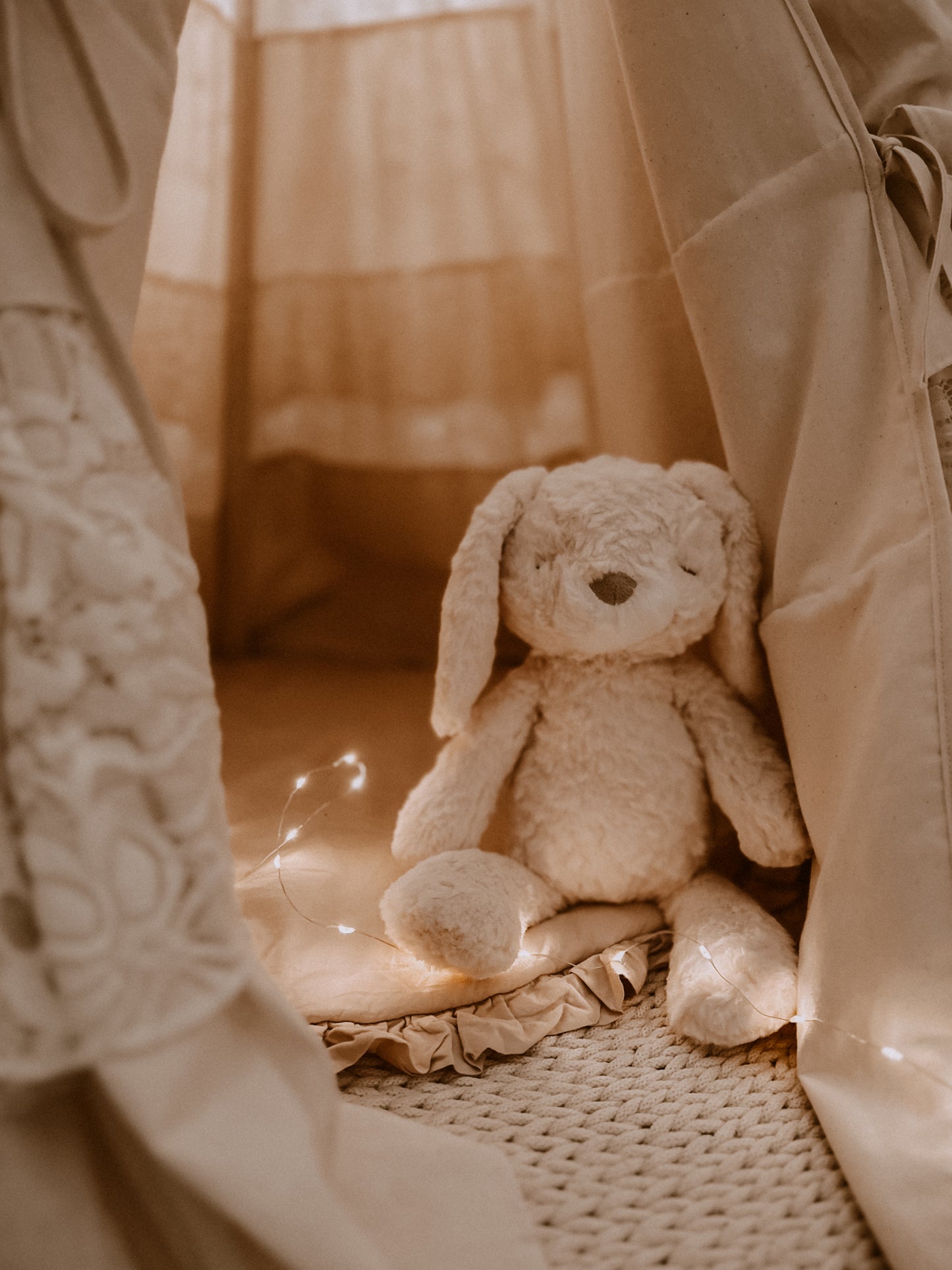 Stuffed Animals - Mrs. Pookie - Rabbit
