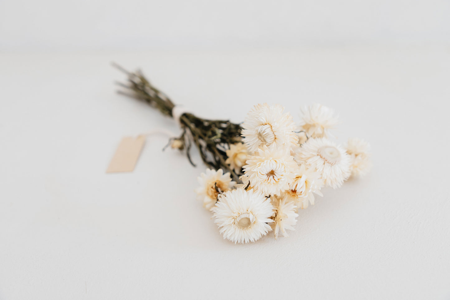 Raw Bunchs - Helichrysum natural white